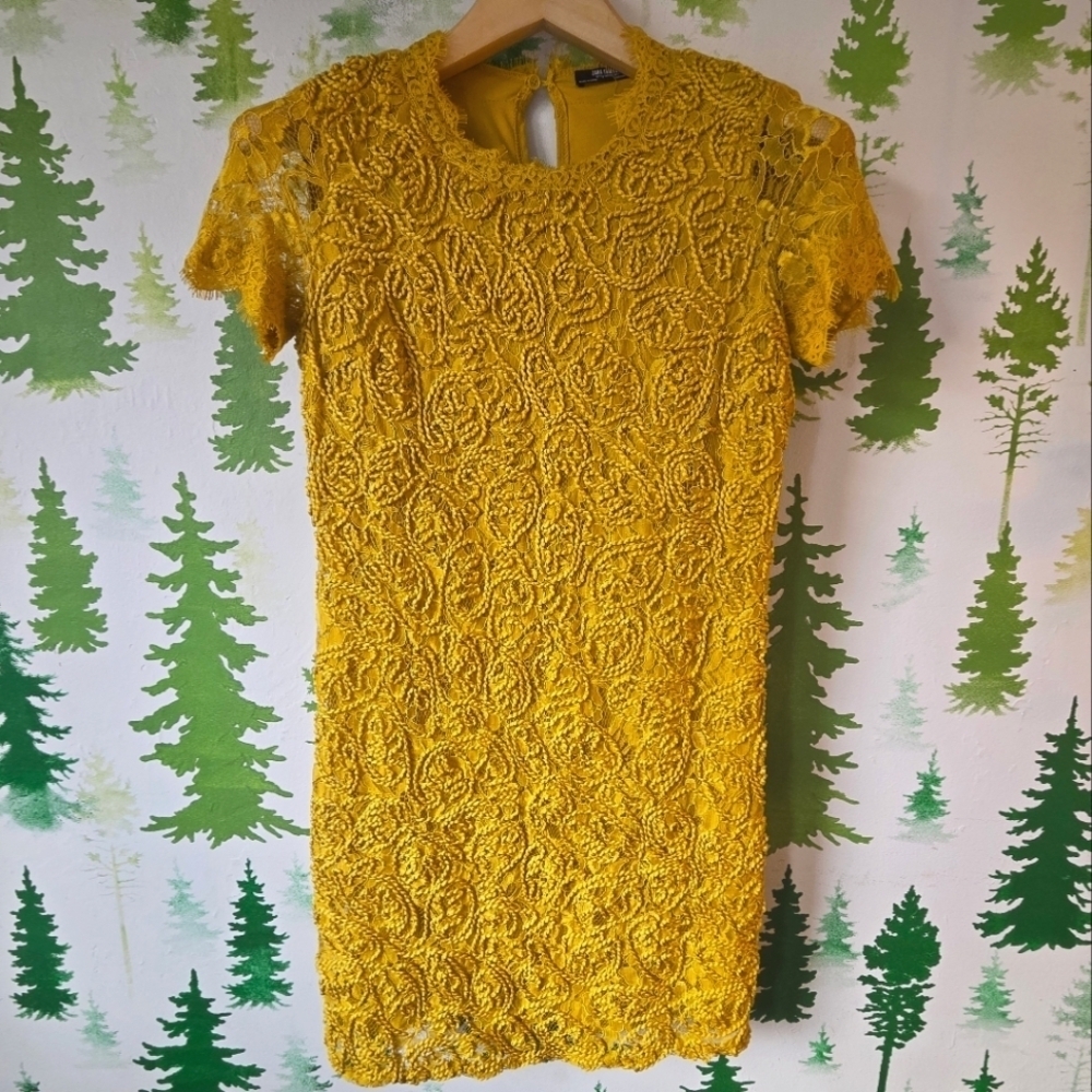Zara Short Sleeve Guipure Lace Dress
